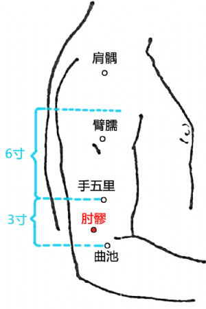 肘髎穴的位置