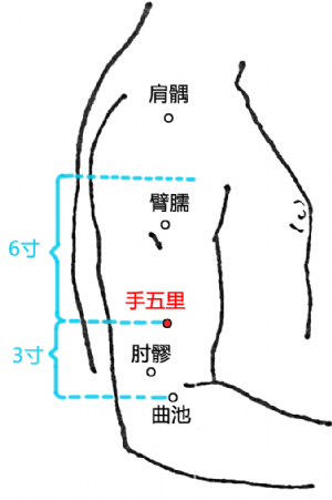 手五里穴的位置
