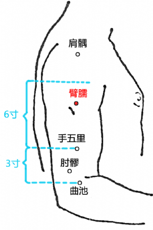 臂臑穴的位置