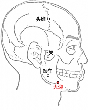 大迎穴的位置