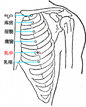 乳中穴的位置