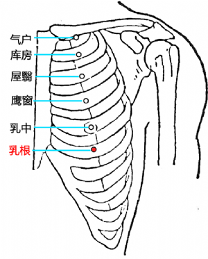 乳根穴的位置