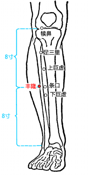 丰隆穴的位置.png