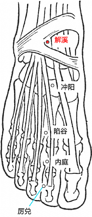 解溪穴的位置