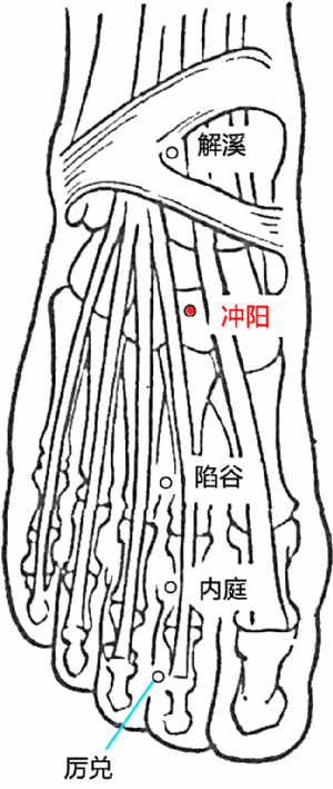 衝陽穴的位置