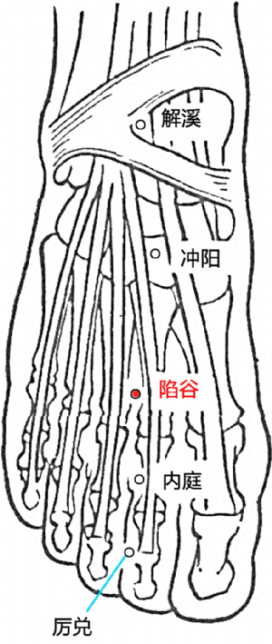 陷谷穴的位置.png