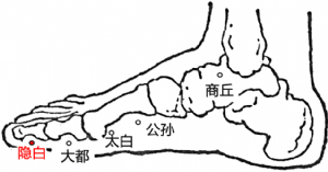 隱白穴的位置.png