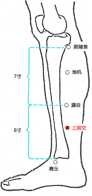 三阴交穴的位置