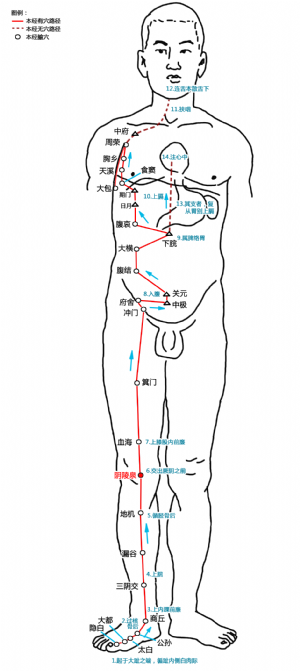 陰陵泉穴在足太陰脾經中的位置.png
