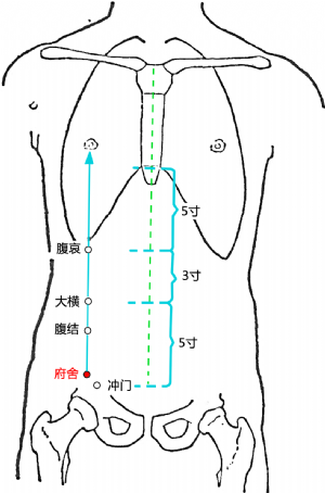 府舍穴的位置.png