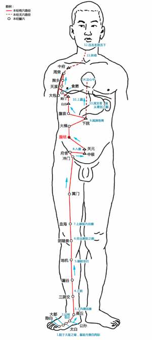 腹結穴在足太陰脾經中的位置.png