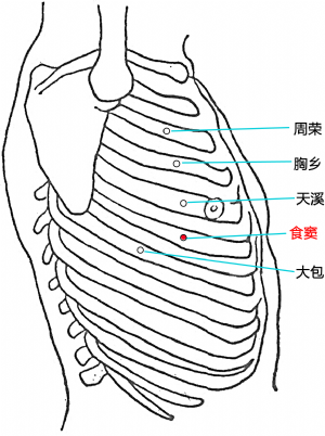 食竇穴的位置.png