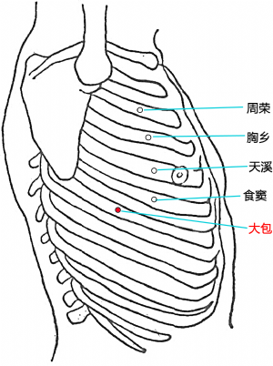 大包穴的位置.png