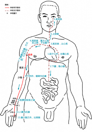 極泉穴在手少陰心經中的位置.png