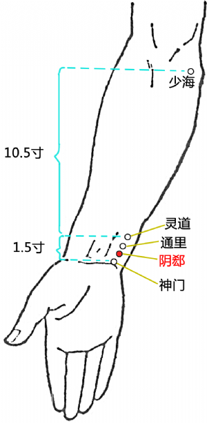 陰郄穴的位置.png