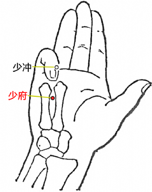 少府穴的位置.png