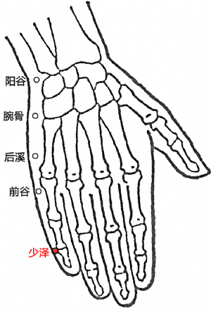少澤穴的位置.png