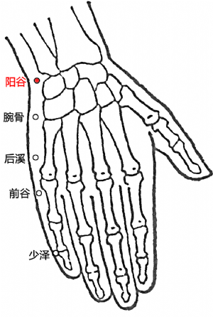 阳谷穴的位置.png
