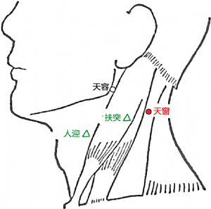 天窗穴的位置.png