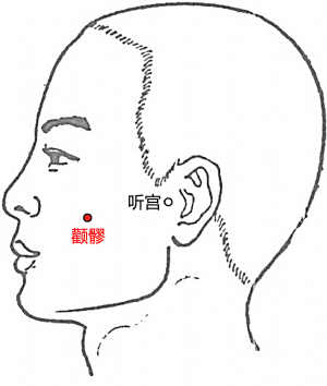 顴髎穴的位置.png