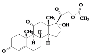 image001.png