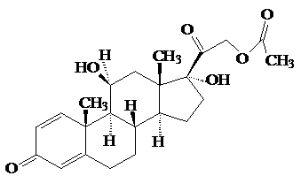 image001.png