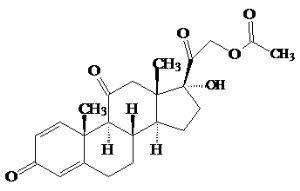 image001.png
