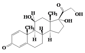 image001.png