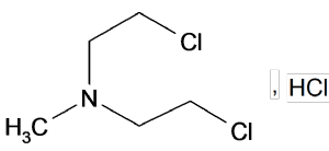 image001.png