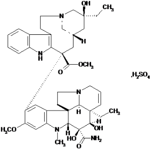 image001.png