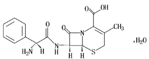 image001.png