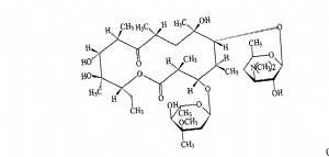 image001.png