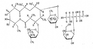 image001.png