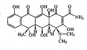 image001.png