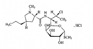 image001.png