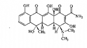 image001.png