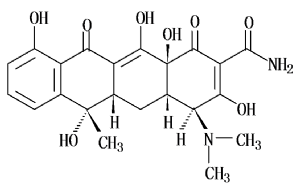 image001.png