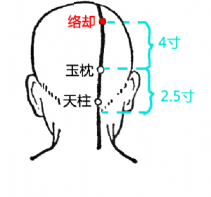 絡卻穴在頭部的位置2.png