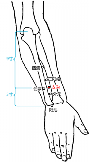 支溝穴在前臂的位置.png