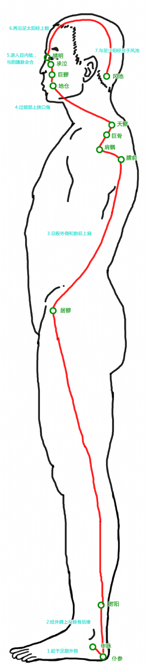 阳蹻脉循行路径