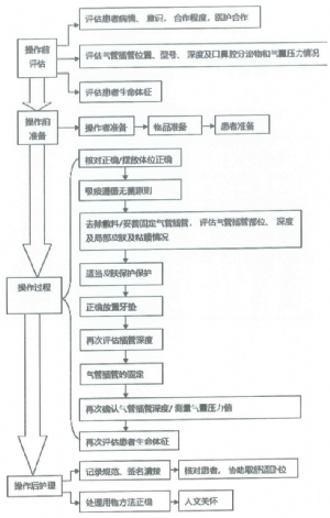 經口氣管插管固定操作流程圖.png