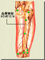 阴谷穴的位置