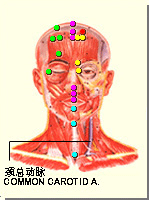 五處穴的位置