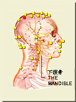 絡卻穴的位置