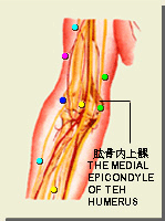 尺泽
