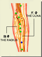 溫溜穴的位置