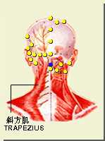 风府穴的位置