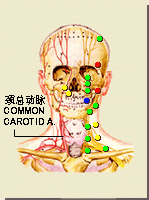 地仓穴的位置