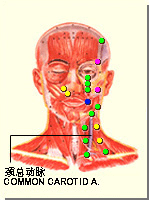 地仓穴的位置