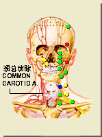 人迎穴的位置